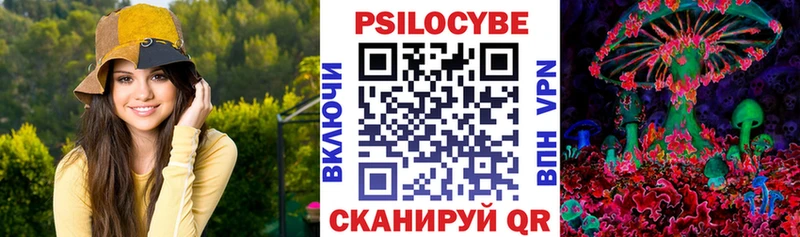 купить закладку  blacksprut как зайти  Псилоцибиновые грибы мицелий  Богородск 